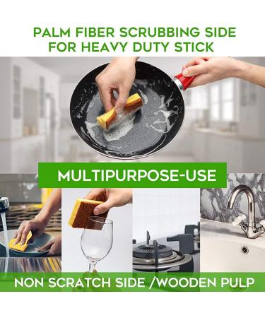 Pteanecay 32 Pack Biodegradable and Compostable Sponges Scouring Pad Palm Fiber Eco-Friendly Sponge for Kitchen Dishes Cleaning - Buy Online on GoSupps.com