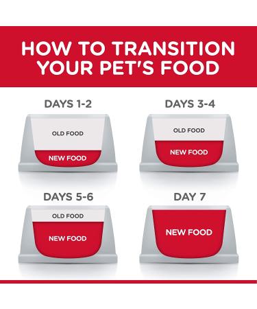 Hill's Science Diet Dry Cat Food - Adult Perfect Weight Chicken Recipe for Healthy Weight Management - Buy Online on GoSupps.com