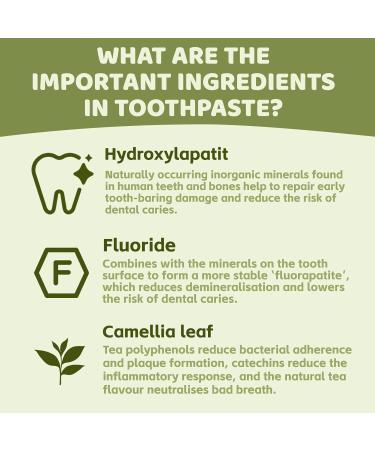 Hydroxyapatite Toothpaste with fluoride 100 g hydroxyapatite toothpaste white teeth whitening hydroxyapatite toothpaste effective supplement with minerals keeps teeth clean - Buy Online on GoSupps.com