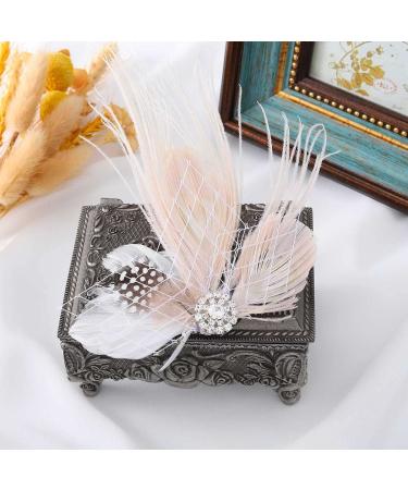 GORTIN 1920s Flapper Feather Hair Clip - Great Gatsby Headpiece for Women and Girls - Buy Online on GoSupps.com