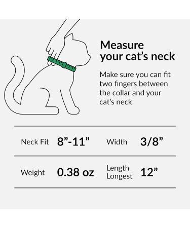 Collardirect Leather Cat Neck Band - Safety Collar with Elastic Belt & Bell | Adjustable 23-28 cm | Available in Black Blue Red Orange Green Pink - Buy Online on GoSupps.com