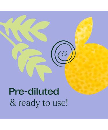 Plant Therapy KidSafe Study Time Essential Oil Blend for Focus Mind Calming Concentration Blend for Kids 100% Pure Pre-Diluted Roll-On Natural Aromatherapy Therapeutic Grade 10 mL (1/3 oz) - Buy Online on GoSupps.com