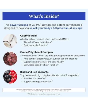 Gundry MD MCT Wellness Powder to Support Energy Ketone Production and Brain Health Keto Friendly Sugar Free (90 Day Supply Raspberry Medley) Raspberry Medley 7.62 Ounce (Pack of 3) - Buy Online on GoSupps.com