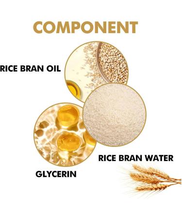  Sloane Sloane Korean Rice Face | Brightening Moisturizer for Long Lasting Hydration | 1.76 FL.oz Rapi Absorbing Rich Moisturizer - Buy Online on GoSupps.com