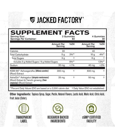 Jacked Factory Ashwagandha Gummies - KSM 66 Ashwagandha Gummies (600mg Per Serving) - Enhance Cognitive Function Boost Mood and Promote Hormonal Balance - 120 Gummies Cherry Splash KSM-66 Gummies - Buy Online on GoSupps.com