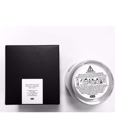 Haute Collage Large 100% Natural Massage Candle 300 ml Aromatherapy Massage Oil in a Glass Jar Elegant Gift - Stargazer & Hibiscus 300 ml - Buy Online on GoSupps.com