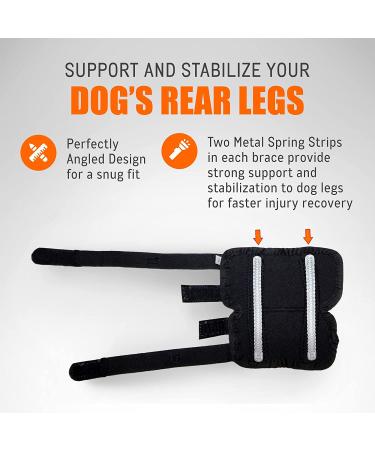 NeoAlly Dog Braces for Back Legs with Dual Metal Spring Inserts - Large, 1 Pair - Buy Online on GoSupps.com