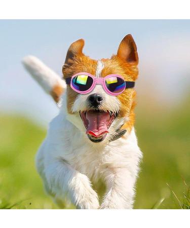 Luckxing Glasses for Dogs | Cat & Dog Barrel Glasses for Medium Dogs | Windproof Soft Eye Protection - Pink - Buy Online on GoSupps.com