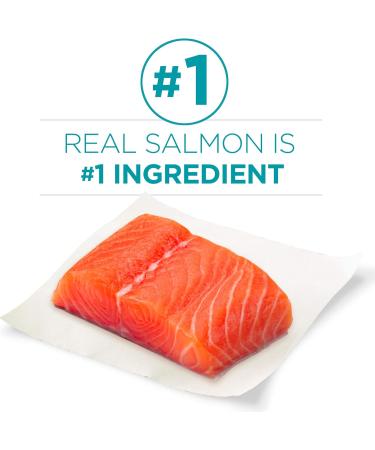 Purina ONE Natural Dry Cat Food Salmon + Chicken and Rice | 2 x 1.59kg Bags - Buy Online on GoSupps.com