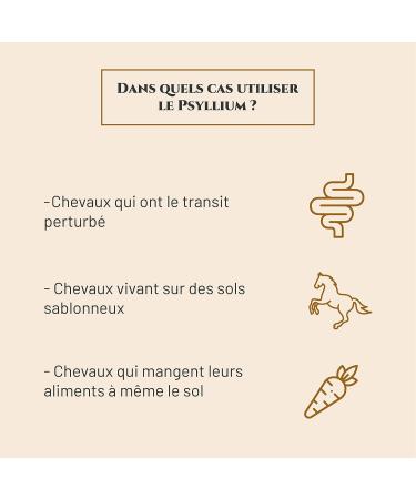 Prince Equin - PSYLLIUM Blond - Nutritional Supplement Horse - Bag 400 g - Fiber intake - Helps regulate intestinal transit - French brand - Buy Online on GoSupps.com