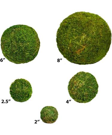SuperMoss 25440 Moss Ball Fresh Green 2 - Pack of 4 - Buy Online on GoSupps.com