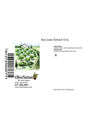 OliveNation Pure Key Lime Extract - 4 oz - Ideal for Candies, Key Lime Pie, Cookies, Salad Dressings & Marinades - Buy Online on GoSupps.com