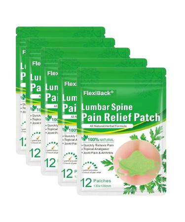 Flexiback lumbar spine pain relief plaster flexiback lumbar spine pain relief plaster flexiback natural back pain pain relief plaster (5 pack)