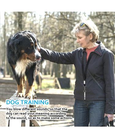 3 Pack Dog Whistle Dog Training Whistle with Lanyardfor Recall Adjustable Frequencies Pet Whistles for Training Barking Behaviour Professional Dog Training Set 2.17 x 0.31 x 0.59in Silver+black - Buy Online on GoSupps.com