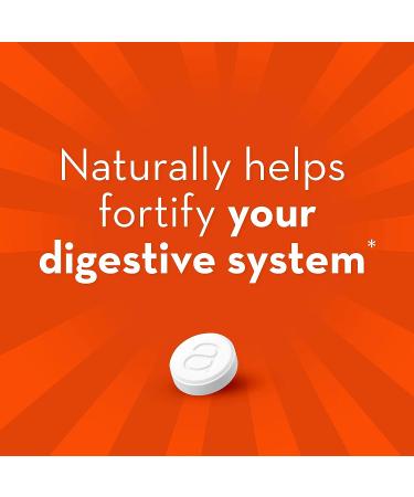 Align Probiotic Chewable Tablets | Digestive Support for Men and Women | 24/7 Gut Health | Recommended by Doctors | 24 Tablets - Buy Online on GoSupps.com