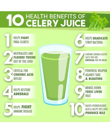Garden Greens Organic Celery Juice Powder - 40 Servings (11.3 Oz) | Pure & Powerful - Buy Online on GoSupps.com