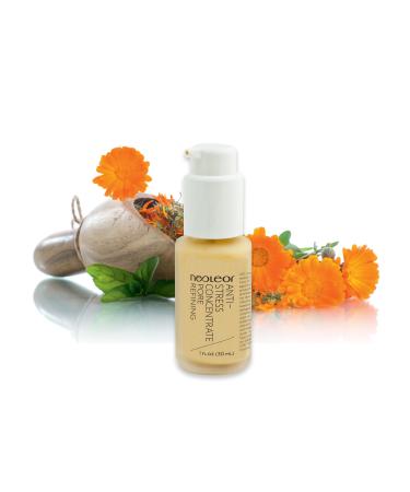 ANTI-STRESS CONCENTRATE/PORE REFINING Serum