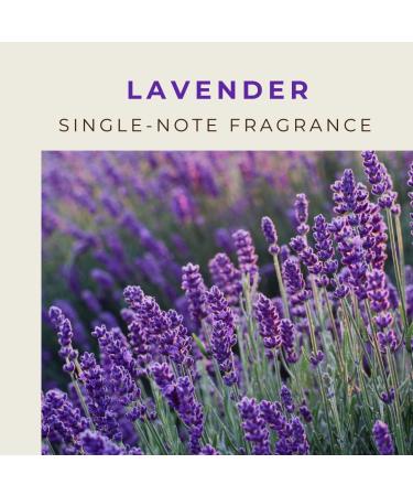 4oz Lavender Fragrance Oils Premium Grade Fragrance Oils for Diffusers with vase Made with Pure and Natural Lavender Oil Lavender 1 Fl Oz (Pack of 1) - Buy Online on GoSupps.com