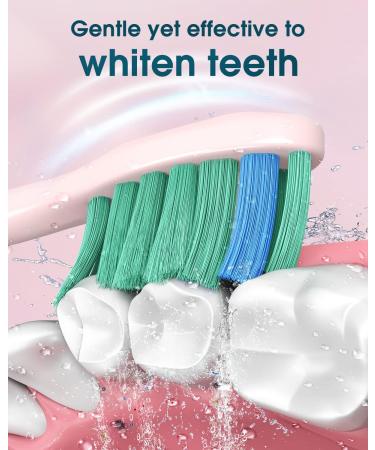 Electric Toothbrush for Adults with 6 Brush Heads - Sonic Toothbrush with Holder & Travel Case - Type C Cable - Pink - 1 Count - Buy Online on GoSupps.com
