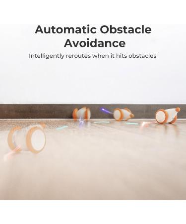 Cheerble Interactive Cat Toys for Indoor Cats Automatic Cat Toy with LED Lights  Wicked Mouse Toy USB Rechargeable Auto On & Off - Yellow - Buy Online on GoSupps.com