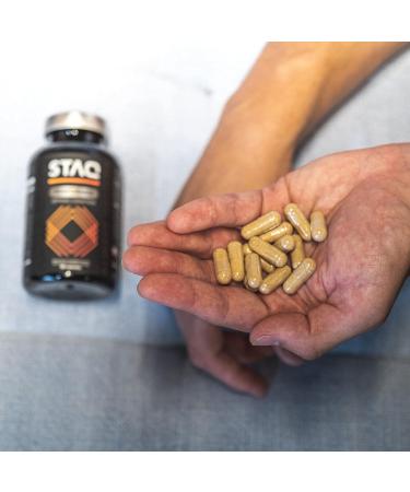 STAQ Performer Premium Brain Supplement - Boost Focus Energy & Memory - 90 Veg Capsules - No Fillers Recommended by Professionals & Active 60 - Buy Online on GoSupps.com