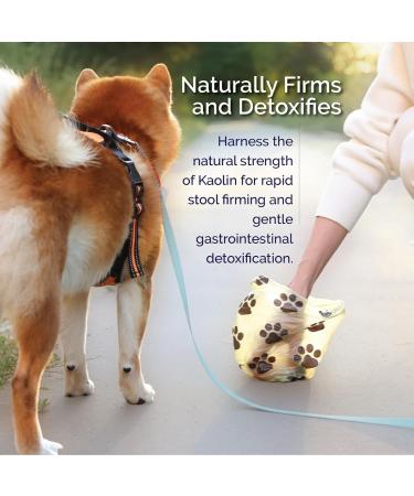 Kao-Vet Dog Anti Diarrhea Liquid for Dogs & Puppies 8 fl oz (236 mL) Fast Acting Diarrhea Relief with 8% Kaolin Upset Stomach Firms Stool & Soothes Intestinal Discomfort - Buy Online on GoSupps.com