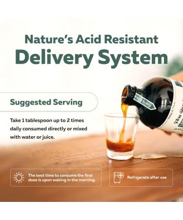 Flora Biome - Live Probiotic Prebiotic & Postbiotic Organic Live-Culture 10 Probiotic Strains 18 Fermented Herbs - Complete Gut Health & Microbiome Optimizer (16 oz) - Buy Online on GoSupps.com