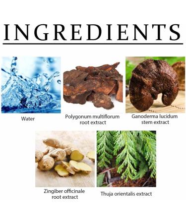 SHENGZE Identicalven Hair Loss ShampooGinger Plant Extract AntiHair Loss Hair ShampooAnti Hair Loss ShampooHair Growth Plant ShampooOil Control AntiDandruff Shampoo for Women Menfor All Hair Types - Buy Online on GoSupps.com