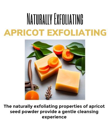 Suds Life Apricot Exfoliating Natural Soap - Best Exfoliating Soap Bar for Men & Women - Natural & Organic Skincare - Buy Online on GoSupps.com