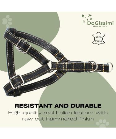 Dogissimi Adjustable Ergonomic Leather Dog Harness for Small & Medium Dogs | Handmade in Italy | Size L (Chest 52-69 cm) - Black - Buy Online on GoSupps.com