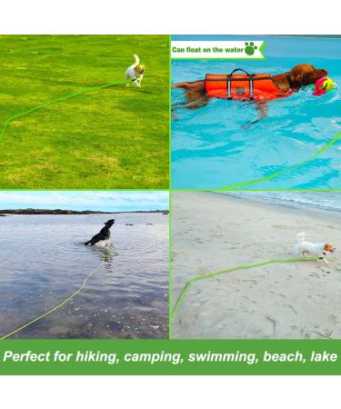 Vivifying Long Dog Lead 32FT Reflective Training Line for Camping Hiking Beach - Green - Buy Online on GoSupps.com