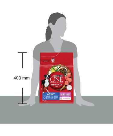 PURINA ONE Medium/Maxi Adult Beef 2.5kg Dry Food for Medium and Large Adult Dogs - Buy Online on GoSupps.com