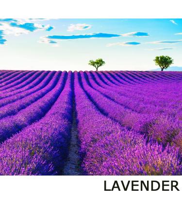 Protective Hand & Body Balm - Orange Lavender Mint & Tea Tree Oil | 2 oz - International Shipping Available - Buy Online on GoSupps.com