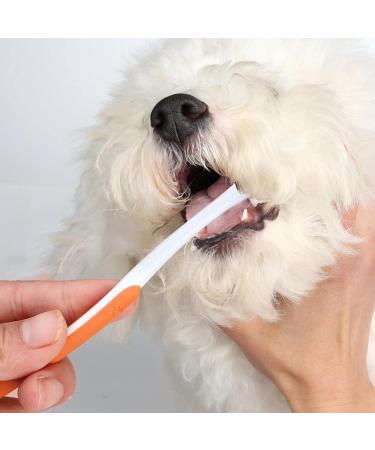 fanelod Pet Toothpaste. Pet Teeth Cleaning Paste with Brush Pet Care Finger Toothbrush Dog and Cat Oral Cleaning Tool. Teeth Cleaning Kit for Cats and Dogs - Buy Online on GoSupps.com