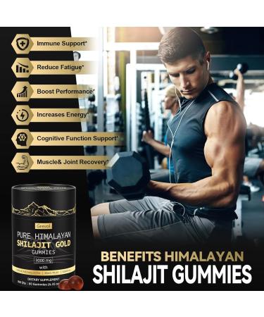 Himalayan Shilajit Gummies: Gold Grade Shilajit Riched with Ashwagandha Fulvic Acid & 85+ Trace Minerals - No Added Sugar - Individually Wrapped - for Men & Women - 60 Gummy 60 Count (Pack of 1) - Buy Online on GoSupps.com