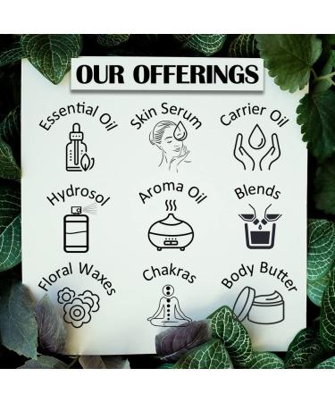 d ve herbes Pure Moringa Oil (Moringa oleifera) Cold Pressed 50ml (1.69 oz) 1.69 Fl Oz (Pack of 1) - Buy Online on GoSupps.com