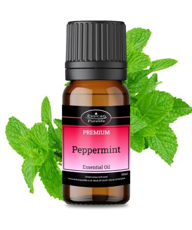 Peppermint Oil - Essential Oil for Skin & Cleaning Pure Peppermint Essential Oil - Rat & Spider Repellent Essential Oils for Candle Making Peppermint Diffuser & Pure Essential Oil - 10ml 10 ml (Pack of 1)
