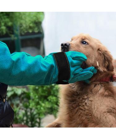 60 cm Cat Gloves Grooming | Cat Glove Bite Resistant Gloves for Handling Animals | Gloves for Handling Animals | Scratch-Resistant Protective Gloves for Training 60cm-green - Buy Online on GoSupps.com