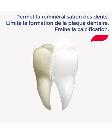 Signal Toothpaste for Tartar Control - Reduces Plaque & Gum Issues (75ml) - International Shipping Available - Buy Online on GoSupps.com