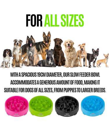 Roo & Boo Slow Feeder Dog Bowl - 19cm - Anti-Gulp Anti-Overeating Slow Feeding Bowl for Dogs Promotes Healthy Eating Puppy Slow Feeding Bowl - Bright Colours (Blue) - Buy Online on GoSupps.com