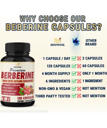 BMVINVOL 6in1 Berberine Supplement with Ceylon Cinnamon Tumeric Root Milk Thistle Artichoke Black Pepper -120 Capsules for 4 Month Supply - Buy Online on GoSupps.com
