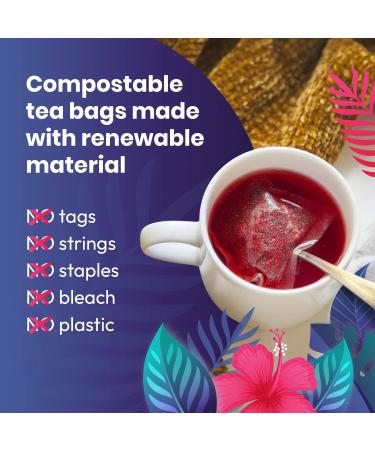 Organic Hibiscus Tea - 100 Tea Bags | Single Origin Herbal Tea | Eco-Friendly & Non-GMO | Caffeine-Free & Sugar-Free | Cederberg Tea Company - Buy Online on GoSupps.com