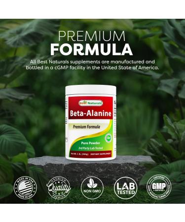 Best Naturals Beta Alanine Pure Powder 1 Pound (1 LB (Pack of 1)) 1 Pound (Pack of 1) - Buy Online on GoSupps.com