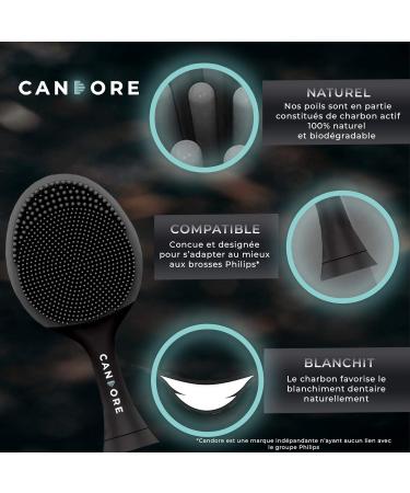 Shop Candore Silicone Face Brushes - Black Carbon-Infused Sonic 2-Piece Set - Recyclable & Compatible with Philips Electric Toothbrush - Buy Online on GoSupps.com