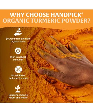 Organic Turmeric Powder (397g/14oz) | Lab Tested, 100% Raw from India | High Curcumin for Antioxidant & Anti-inflammatory Benefits - Buy Online on GoSupps.com
