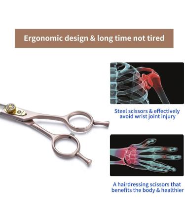 Dream Reach 7 Professional Pet Grooming Curved Scissors - Japanese Steel Shears for Dog, Cat & More (7 inch) - Buy Online on GoSupps.com
