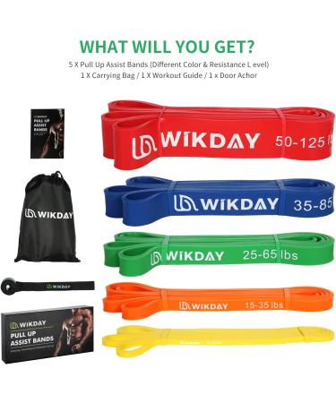 WIKDAY Resistance Bands Set for Exercise - Heavy Duty Pull Up Bands with Door Anchor - Elastic Bands for Body Stretching - Crossfit Training at Home Gym - Men & Women - Multi Color - Buy Online on GoSupps.com