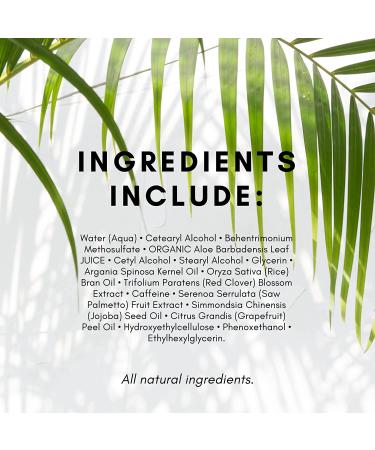 TruePure Argan Oil Conditioner - Deep Treatment for Dry, Damaged Hair - 8 oz. - Sulfate & Paraben Free - Made in USA - Buy Online on GoSupps.com