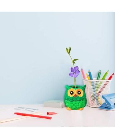 DIY Ceramic Owl Succulent Pots Paint Craft Kit - Set of 6 | Unpainted Bisque Ceramic Flowerpots for Kids Classroom Activities - Buy Online on GoSupps.com