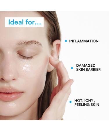 Abib Ectoin Panthenol 11% Moisturizer Barrier Tube 1.69 fl. oz. 50 mL I Skin Hydrating Face Cream - Buy Online on GoSupps.com